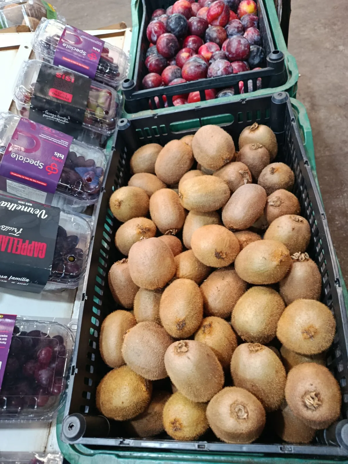 Produtos ATIVA